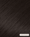 Dark Raven